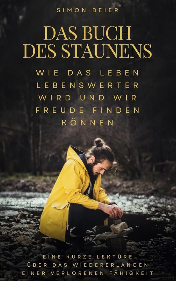 Cover: Das Buch des Staunens von Simon Beier – über die Wiederentdeckung des Staunens